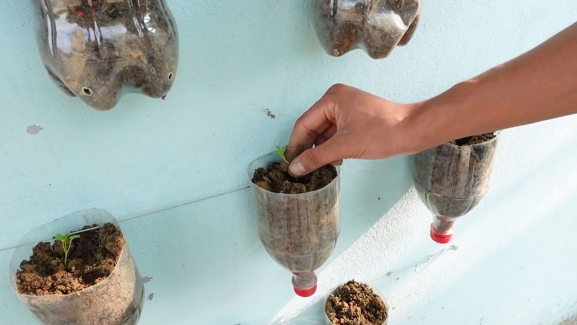 Wall Mounted Vegetable Garden