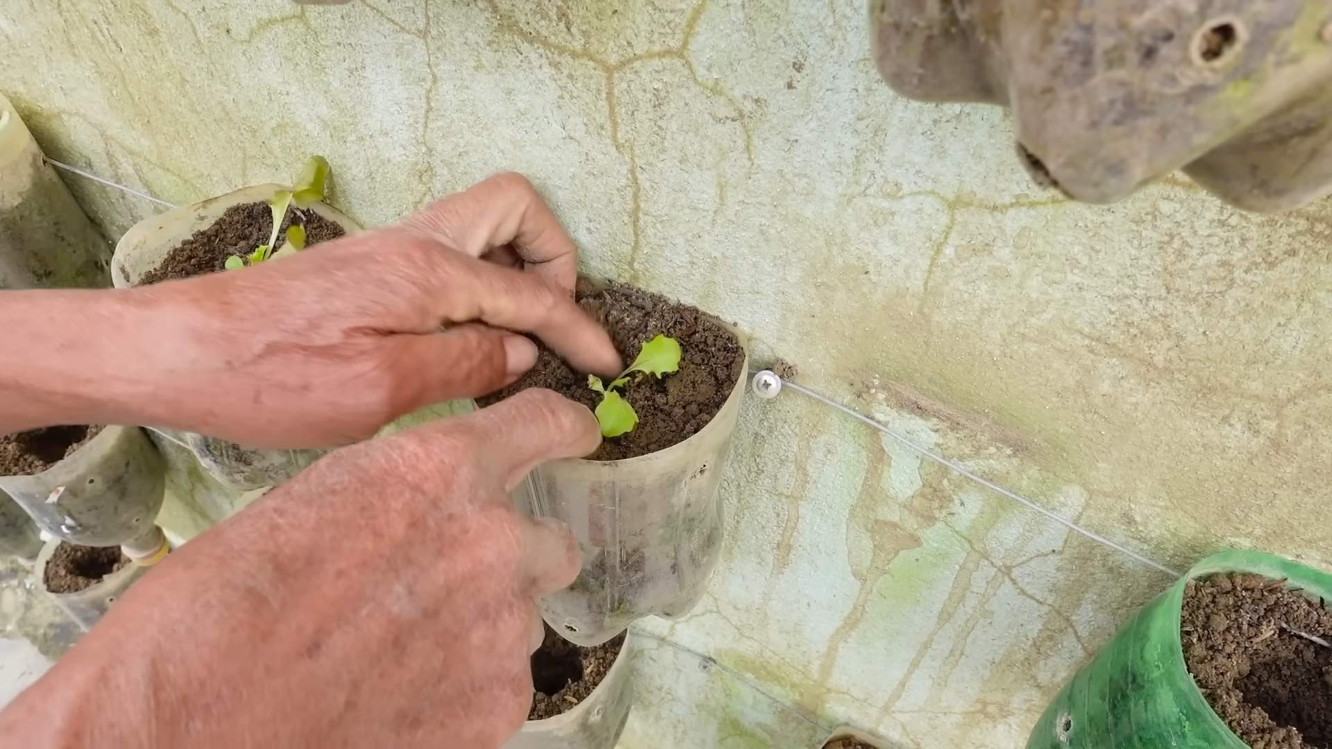 DIY vertical vegetable garden