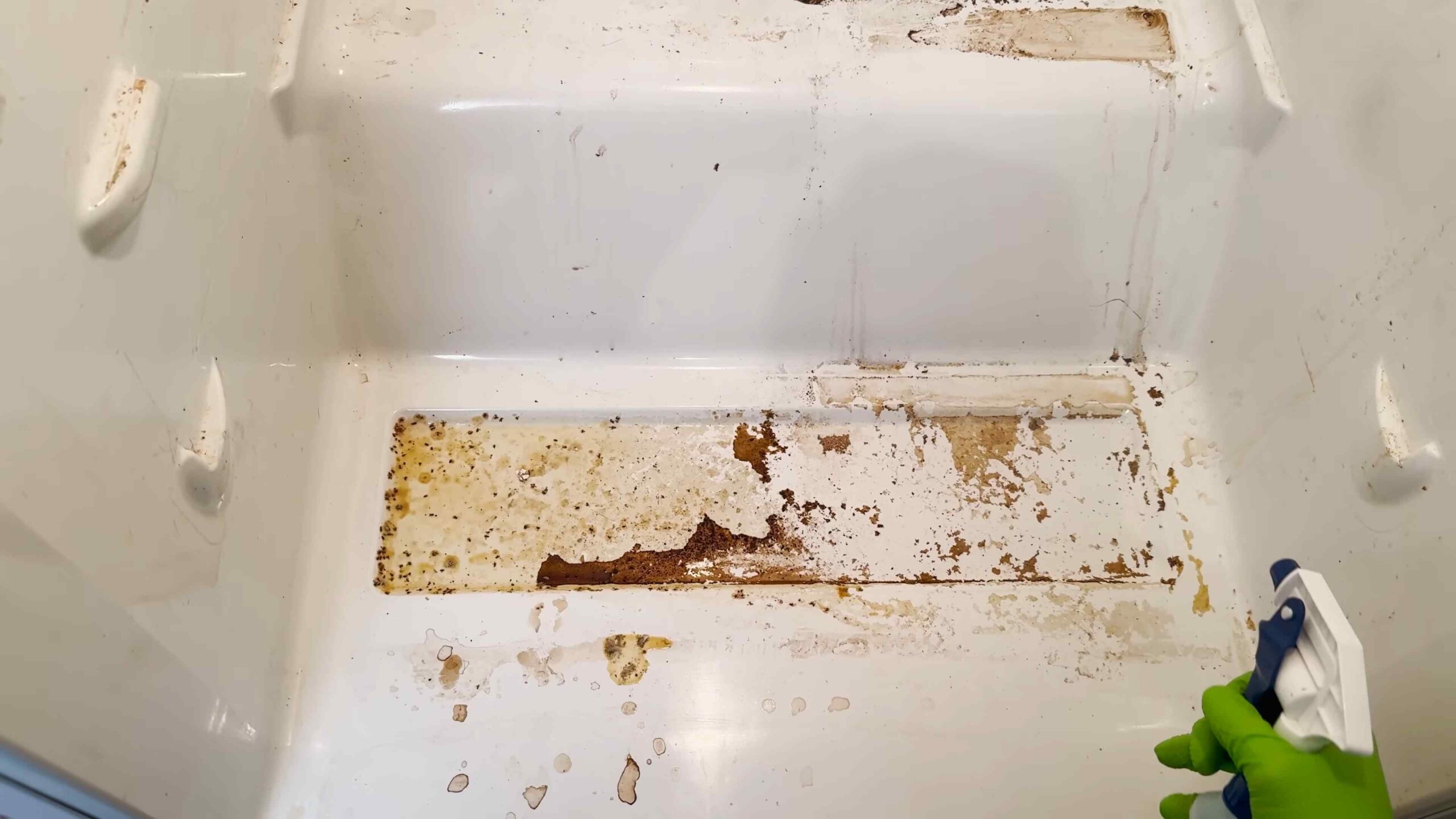 Deep Clean Your Fridge