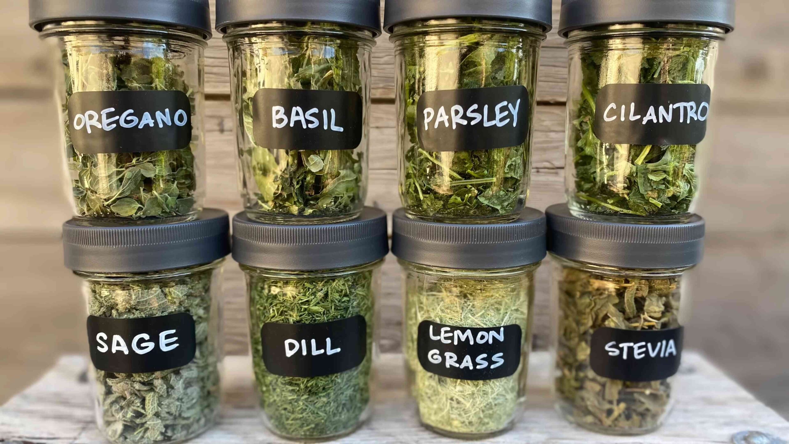 Heat Loving Herb Garden