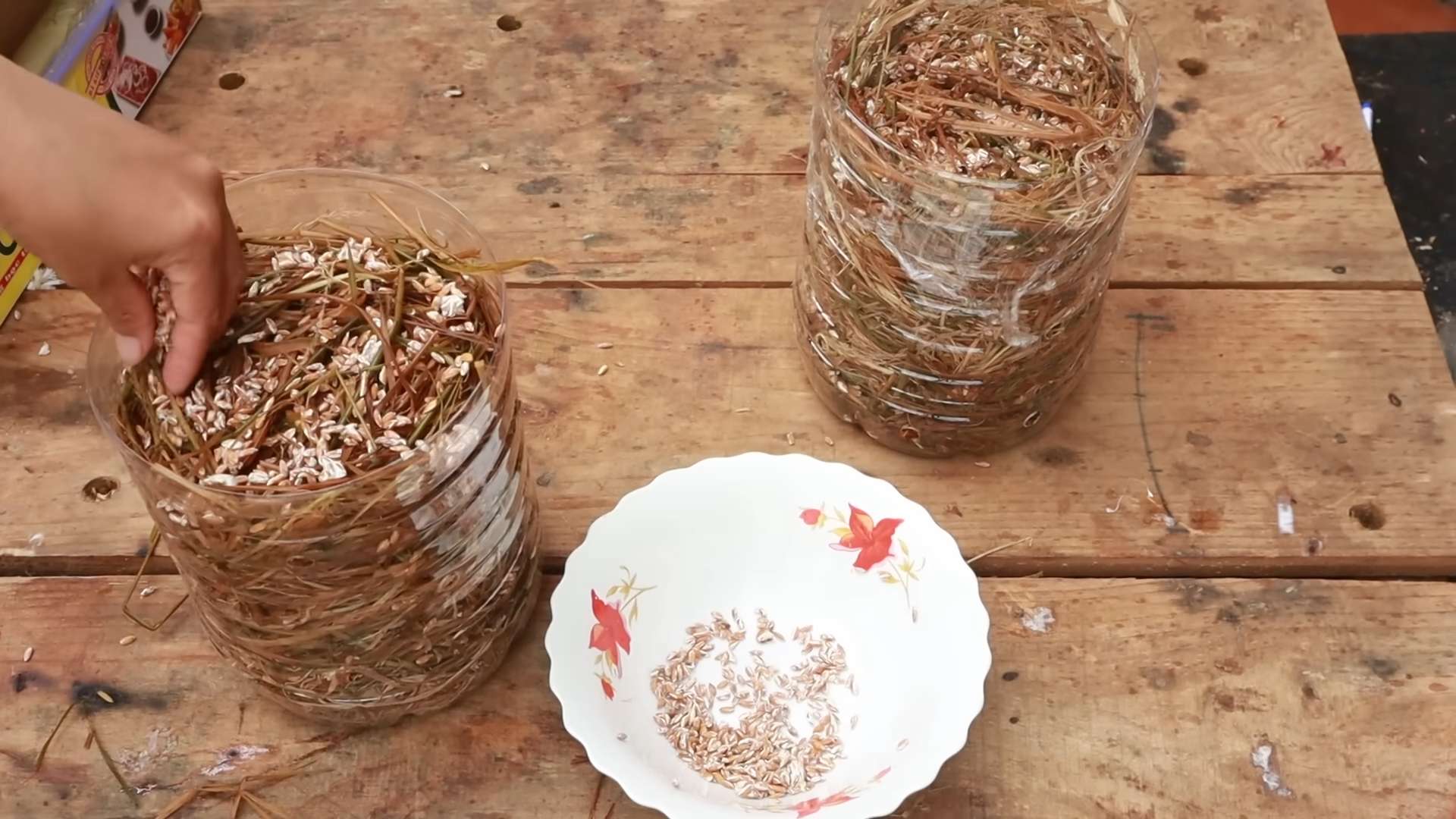 Mushroom Growing Recycled Plastic
