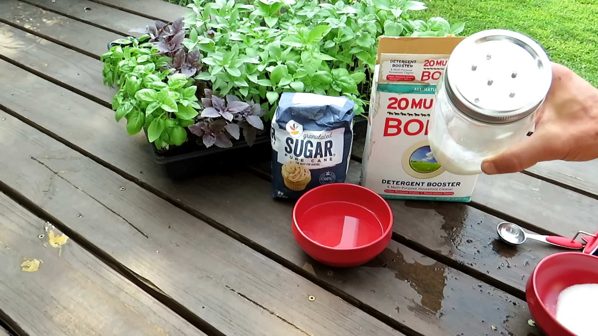 DIY ant killer garden