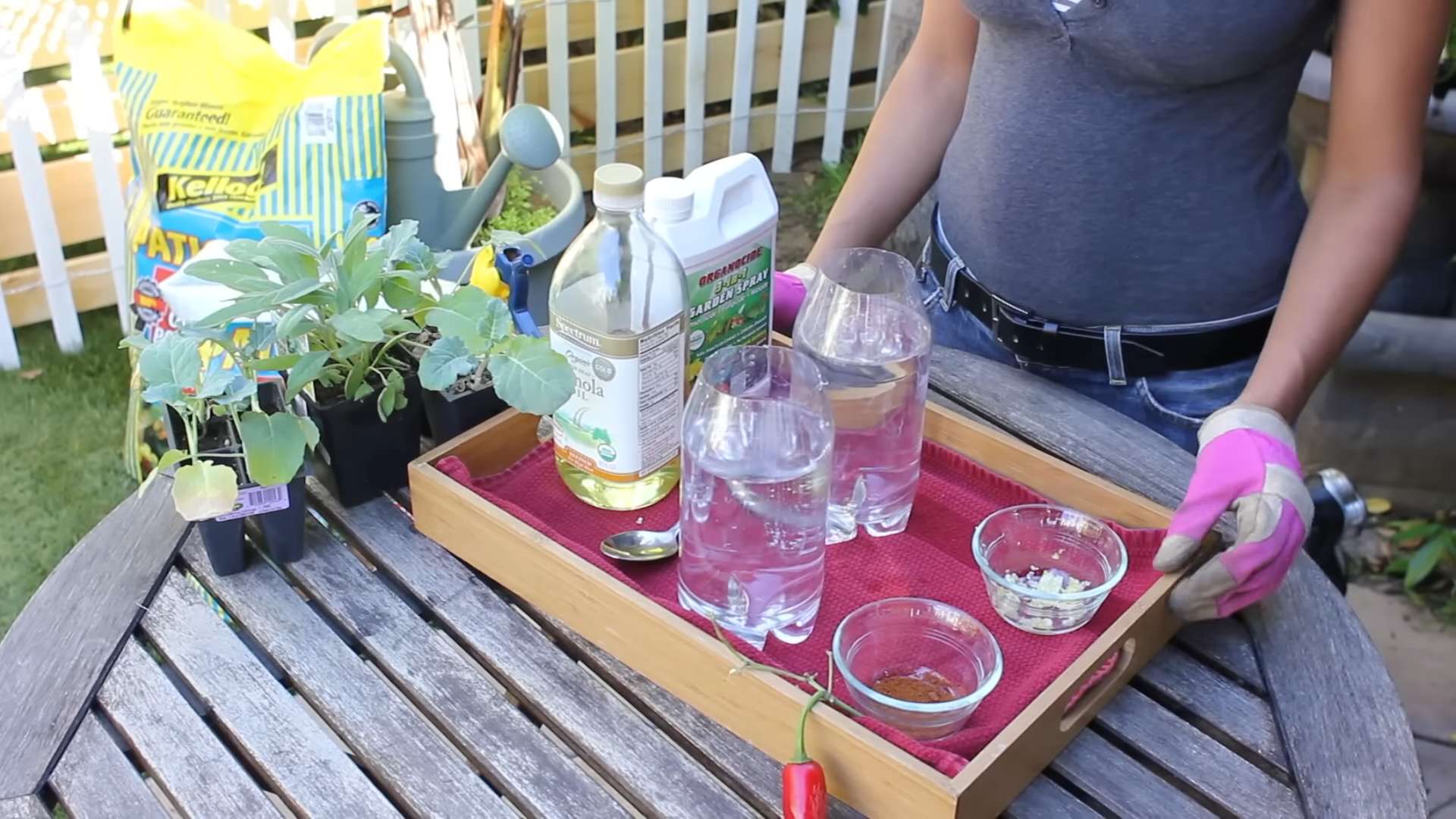 DIY Eco Friendly Insecticide