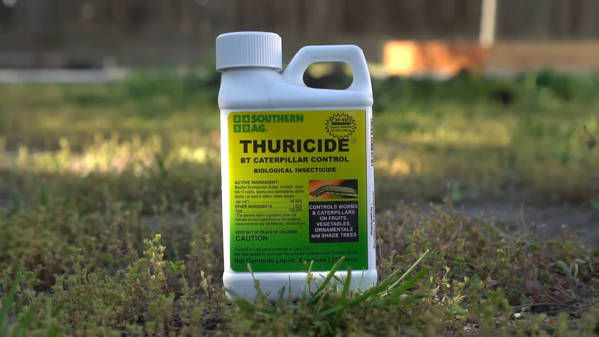 Thuricide caterpillar control garden